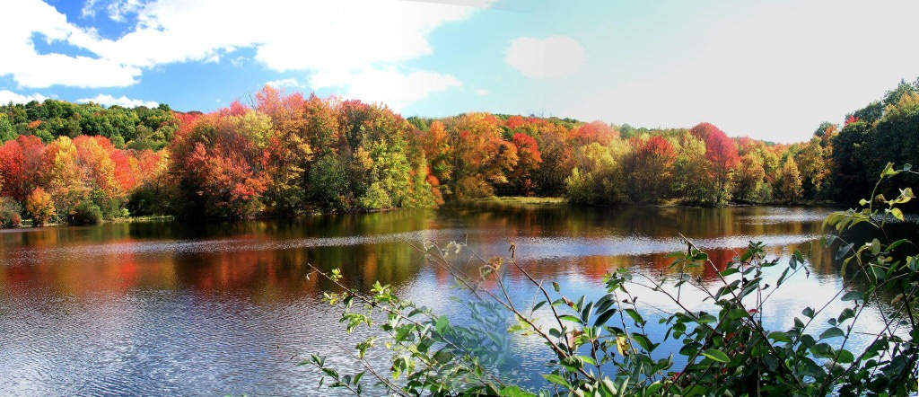 Panorama of a local lake in the Autumn