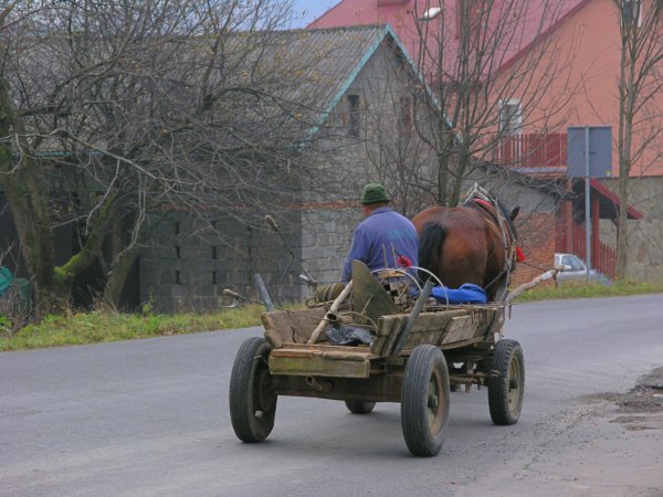 Polish Farmer on Horse Cart