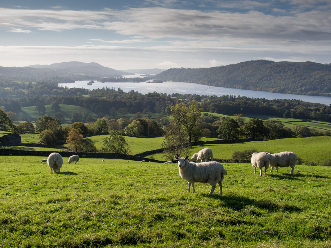Lake District view.