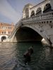 Rialto  Bridge Venice (2) by Dave Hall