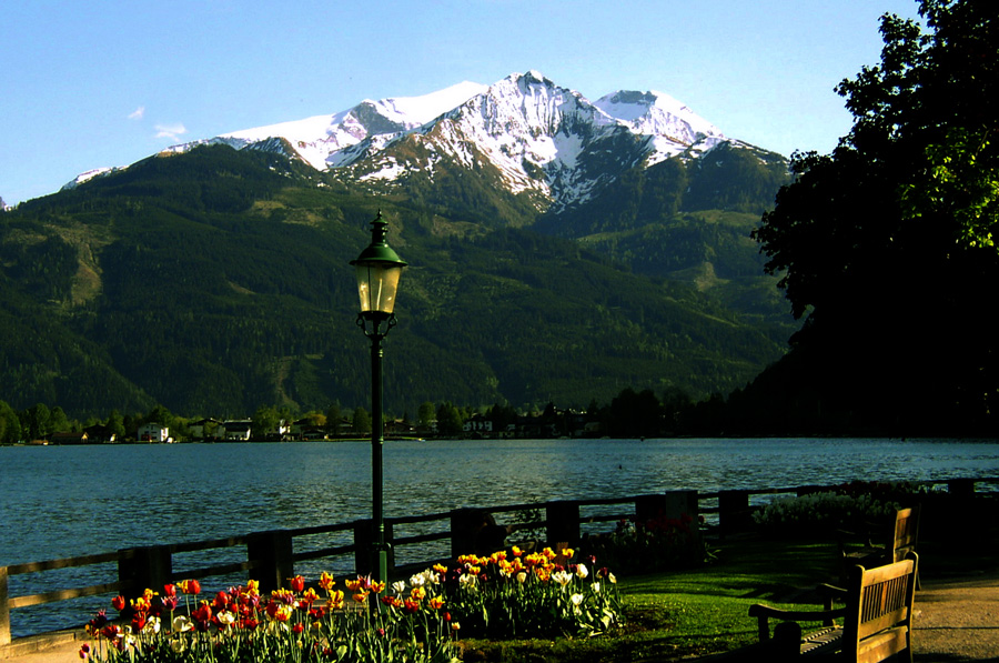 View on Zell am See