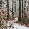 Serpentine Trail by Udo Altmann