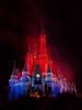 Disney World Castle by Richard Ociepka