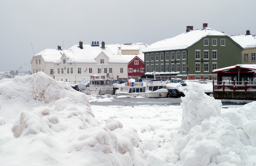 Snowy Arendal