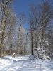 Winter pathways by Sergey Green