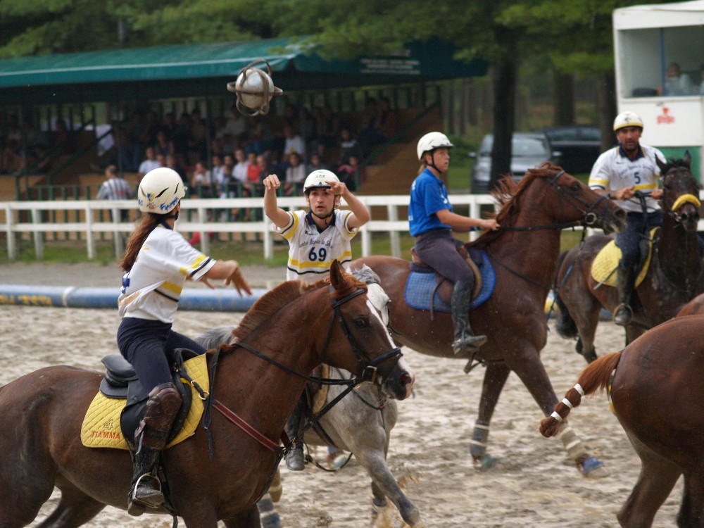 In action 2 (Horse ball)