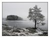 Winter Prelude 5 by Pekka Nihtinen