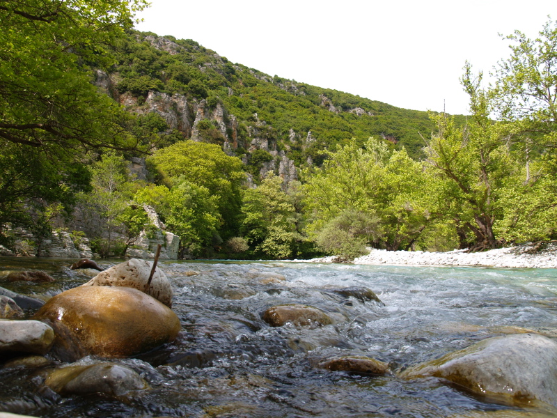 quiet waters in the Voidomatis