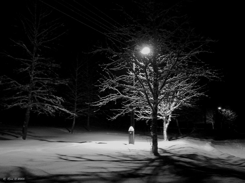 winter night 2 (in B/W)