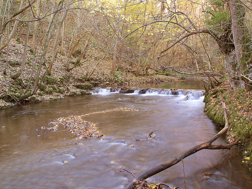 Autumn River
