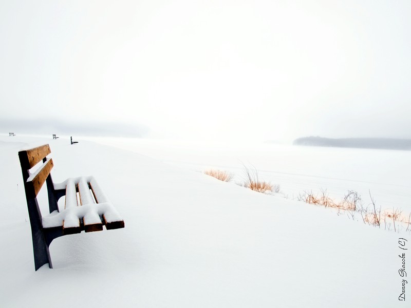Winter Seat