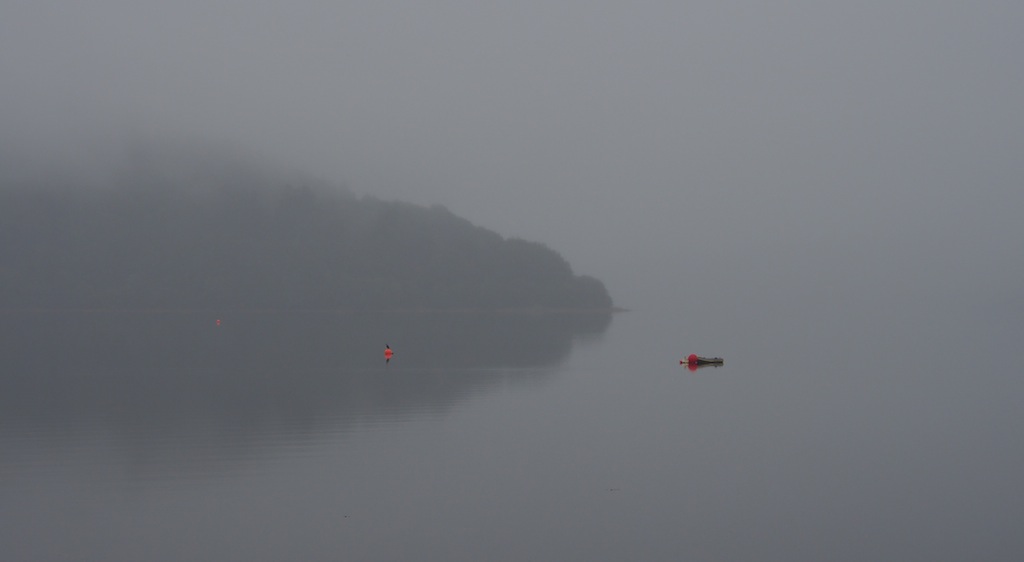 Dinghy in the Mist