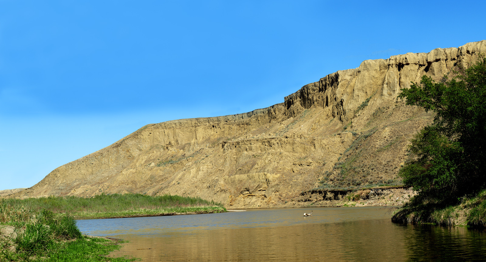 Saskatchewan River Clifs