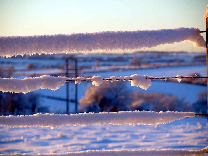 Ice wire