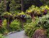 Skagway Gardens by paul missall