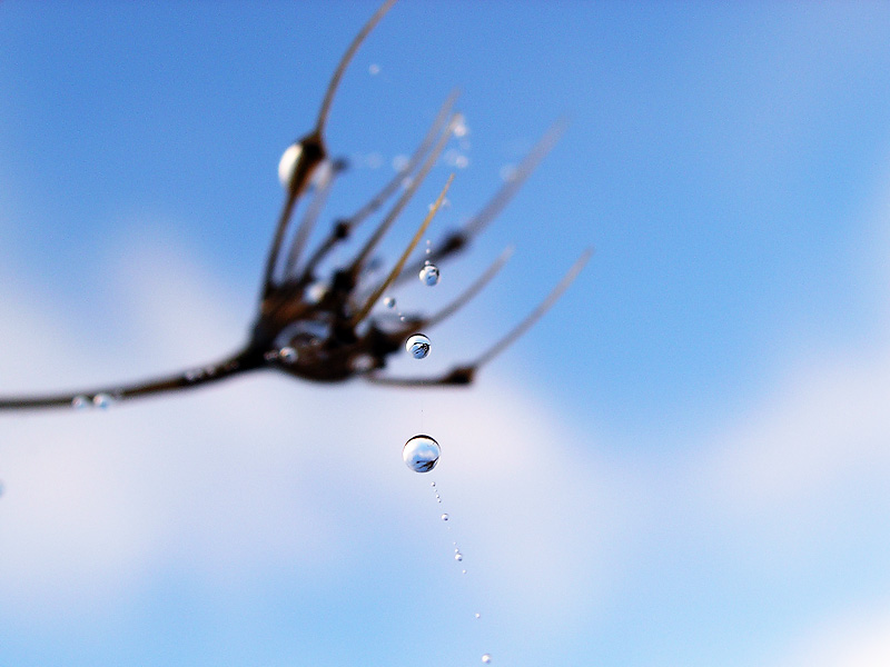 Waterdrops 2