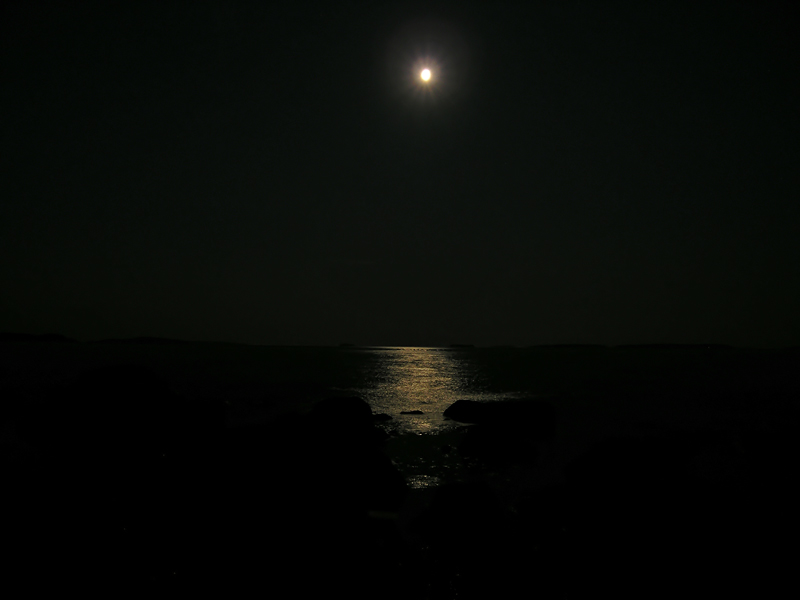 Moonlight 2:00 am