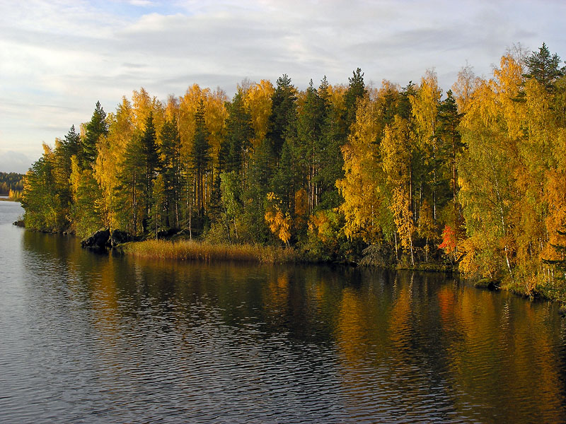 Autumn in Vehkataipale Finland