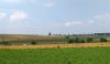 Amish Farm Lands
