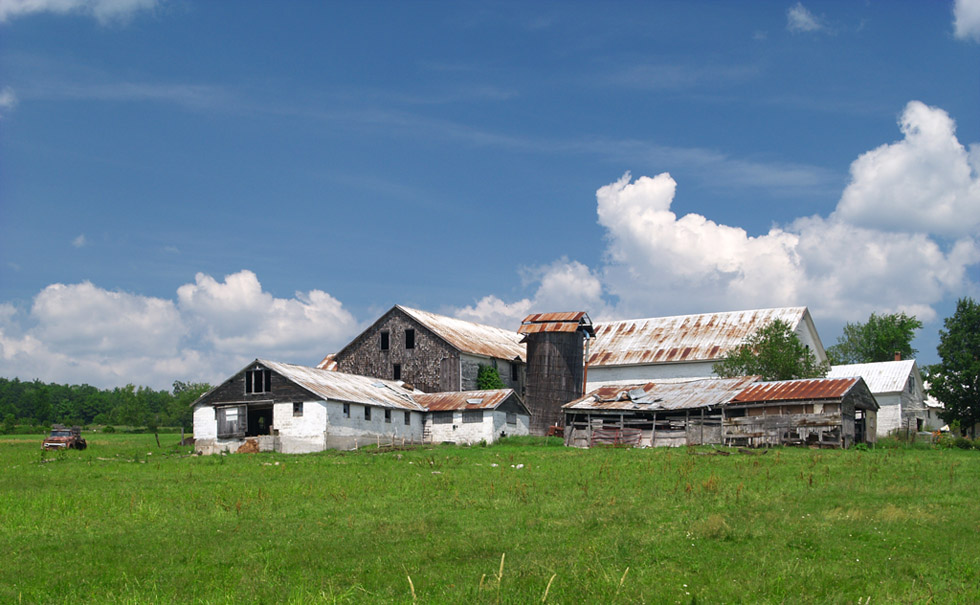 Broken Down Old Farm