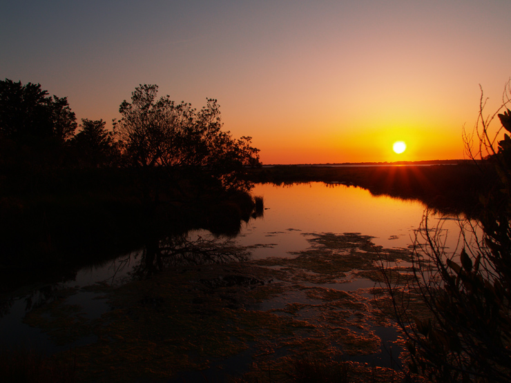 Assateauge Sunset