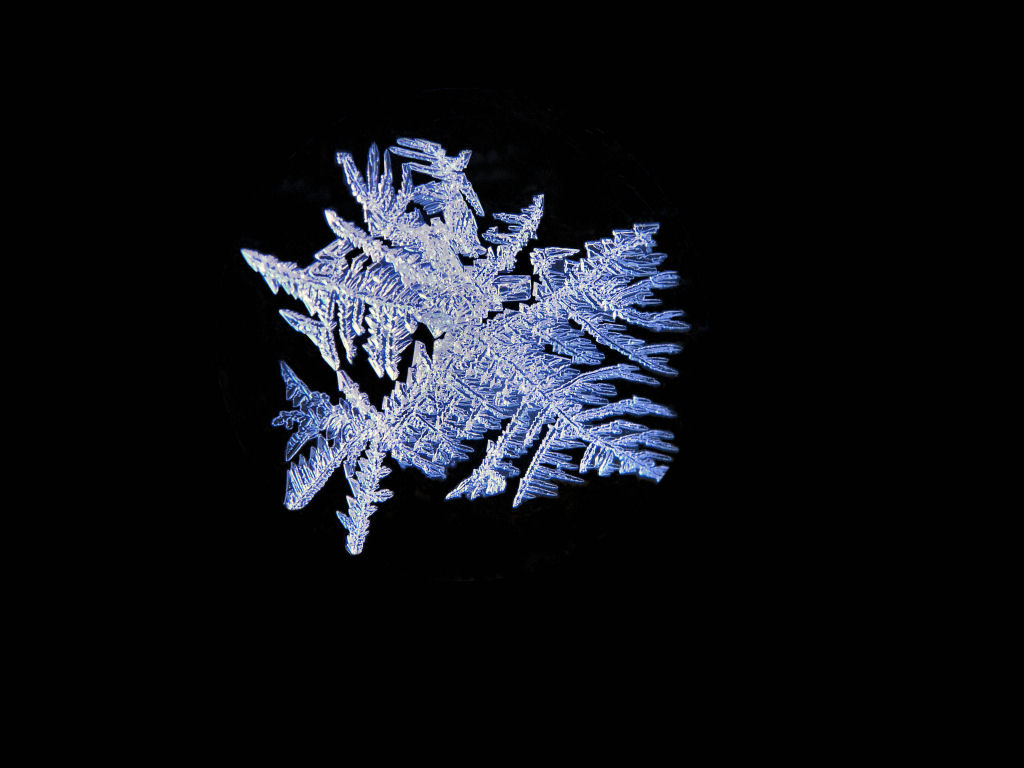 Ice Cold