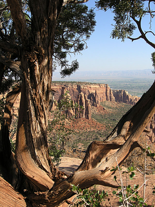 Colorado National Monument