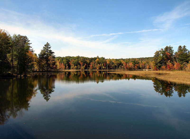 Early Fall Afternoon