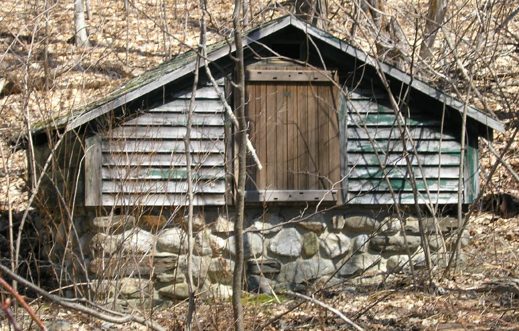 Wellhouse in the woods