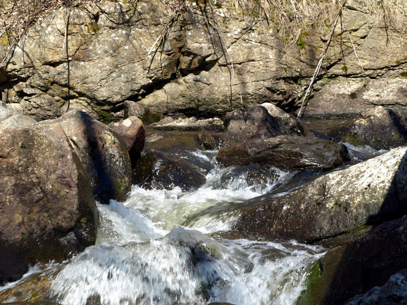 Spring Runoff 2