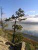 Columbia Lake BC Lonely tree by Al Lewis