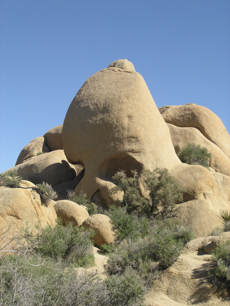 Joshua Tree-Skull Rock