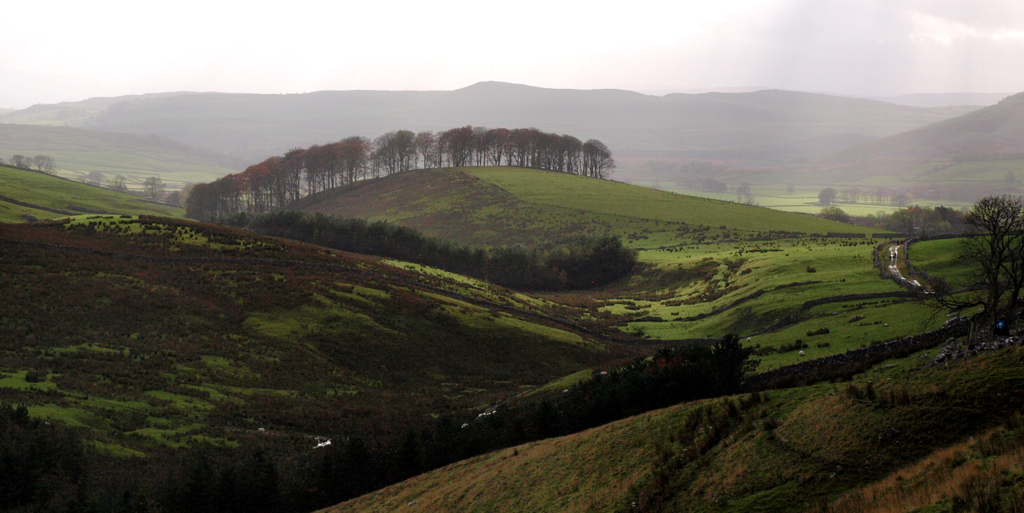 Pennine View