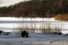 The Frozen Lake by Kerland Elder