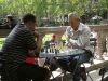 A Friendly game of Chess by Kerland Elder