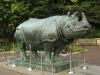 Rhinoceros by Kerland Elder