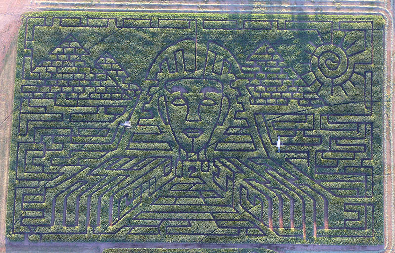 Corn Maze