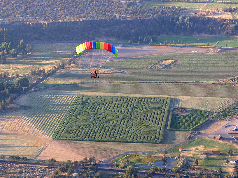 Corn Maze 2