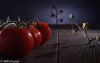 Tomatoscape by Randall Beaudin