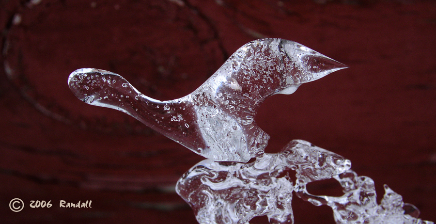 Ice Formation 342