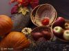 Fall Colours Still Life #050 by Randall Beaudin