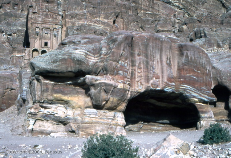 the stone hippopotamus to Petra