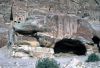 the stone hippopotamus to Petra by Fabio Pegasus