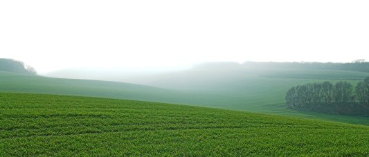 Haze over Cuxton field