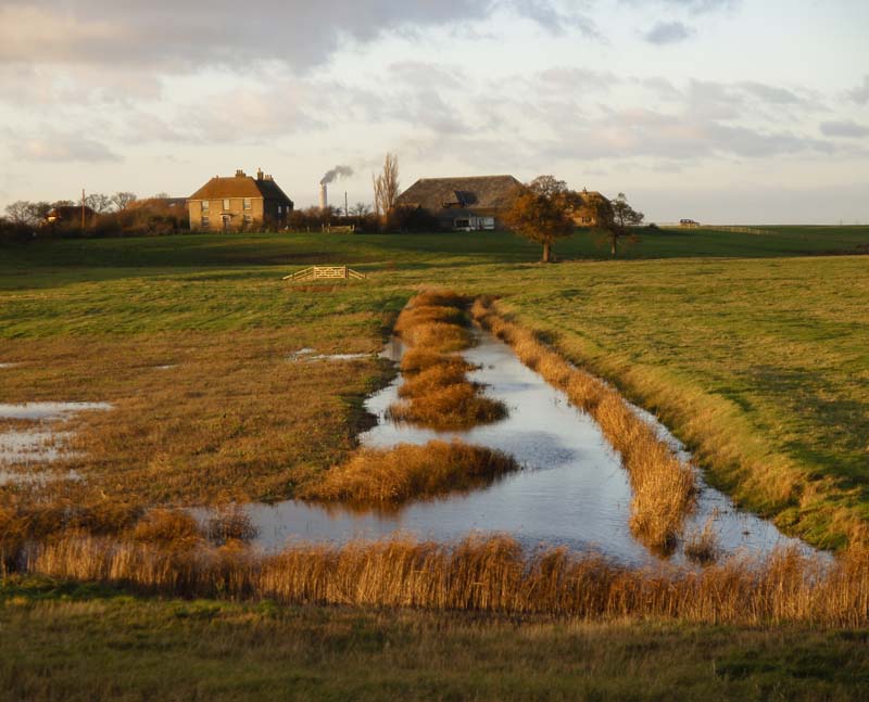 View at Elmley Nature Reserve.