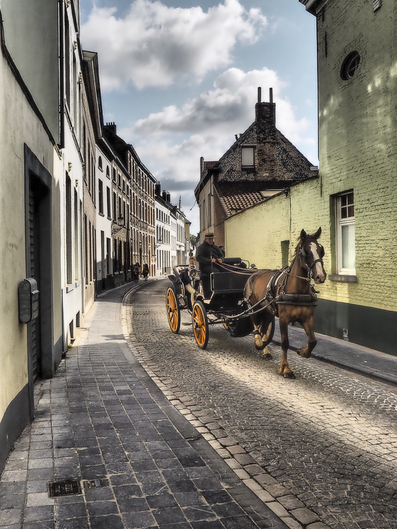 Belgian horse drawn carriage