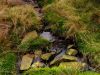 Peak District stream by Dave Hall