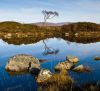 Rannoch Moor, Scotland by Dave Hall