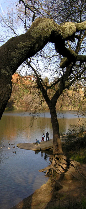 River arch