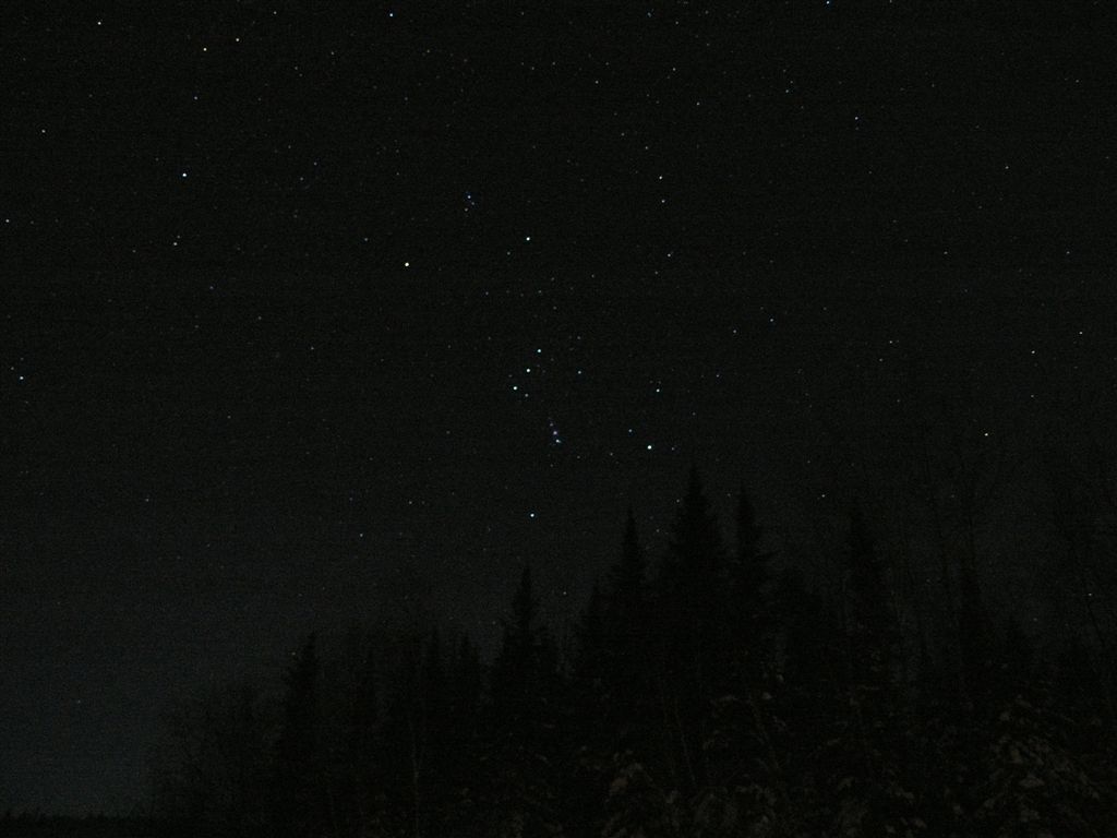 Orion